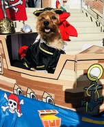 Halo the BrownBeard Dog Homemade Costume