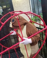 Hamster in his wheel Homemade Costume