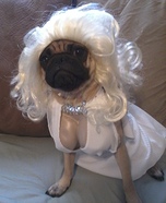 Marilyn Monroe Dog Costume
