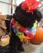 Hawaiian Dog Homemade Costume
