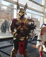 Hawkman Homemade Costume
