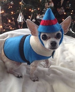 Herbie Dog Homemade Costume