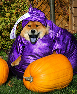 kreatywne pomysły na kostiumy dla psów: Hershey 's Kiss Dog Costume
