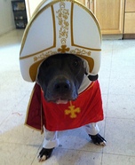 Holy Hound Dog Costume