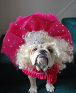 Honey Boo Boo Dog Costume