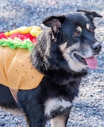 Hot Dog Costume