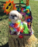 Hula Girl Dog's Costume