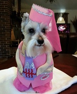 I Dream of Genie Dog Homemade Costume