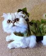 Homemade Costumes for Pets - Costume Works (page 8/70)