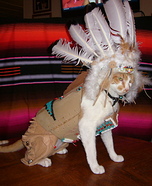 Indian Chief Homemade Cat Costume