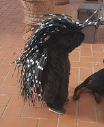 Istrice Homemade Costume