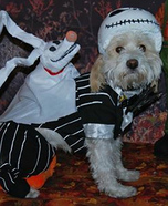Jack Skellington Dog Homemade Costume