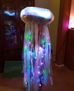 Creative DIY Jellyfish Costume
