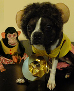 Homemade Jolly Chimp Costume