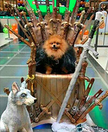 Jon Snow Dog Homemade Costume