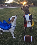 Katy Perry and Left Shark Dogs Homemade Costume
