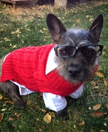 Ken Bone Dog Homemade Costume