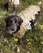 Khaleesi's Battle Dog Homemade Costume