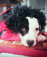 King of Pop Costume for Dogs