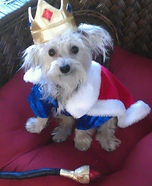 King of the Dogs Costume