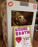 Kissing Booth Dog Homemade Costume