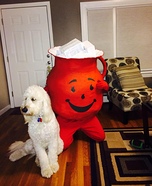 Kool Aid Man Homemade Costume