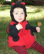 Baby Ladybug Costume