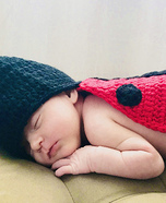Ladybug Homemade Costume