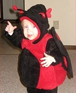 DIY Ladybug Baby Costume