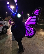 LED Butterfly Homemade Costume