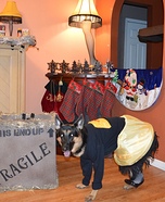 Criativo de idéias do traje para cães: Perna Lâmpada Cão Traje