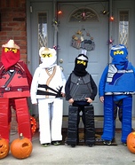 Lego Ninjagos Costume