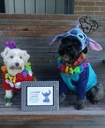 Lilo & Stitch Dogs Homemade Costume