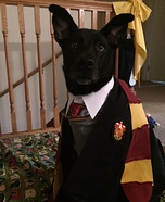 Lily Potter Dog Homemade Costume