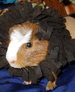 Lion Costume for Pets