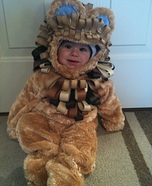 Homemade Lion Costume