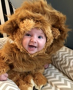 Lion Baby Homemade Costume