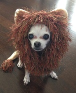 Lion Dog Costume Idea