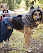 LIttle Bad Wolf Homemade Costume
