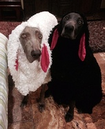 Little Black Sheep Dog Homemade Costume