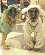 Little Bo Peep and Sheep Dog Costumes