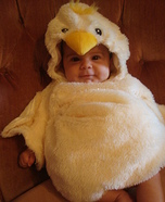 Little Chicken Homemade Costume