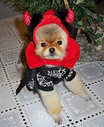 Little Devil Dog Costume