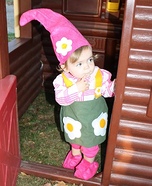 Little Gnome