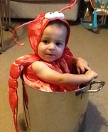 Little Lobster in a Pot Baby Costume