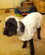 Little Lost Sheep Homemade Costume for Dogs