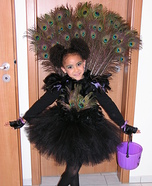 Little Miss Peacock Costume
