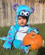Little Monster Baby Costume
