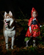 Little Red Riding Hood and The Big Bad Wolf Girl and Dog Costume Idea