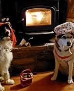 Little Red Riding Hood and The Big Bad Wolf Dogs Homemade Costume